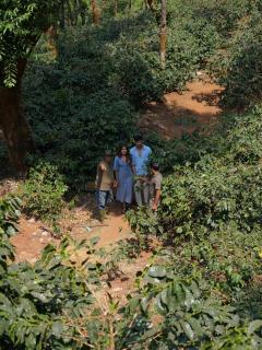 Trivik Hotels & Resorts, Chikmagalur - 9