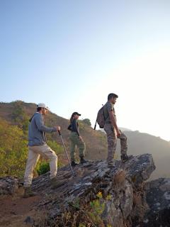 Trivik Hotels & Resorts, Chikmagalur - 7