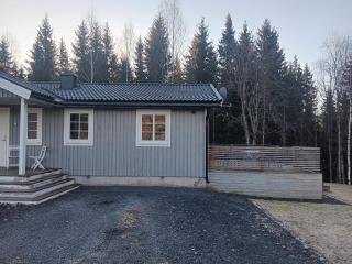 Ferienhaus in Torsby zwischen Wald, Fluss und Seen - 9