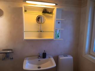 Ferienhaus in Torsby zwischen Wald, Fluss und Seen - 4