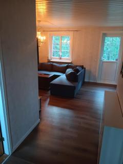 Ferienhaus in Torsby zwischen Wald, Fluss und Seen - 2