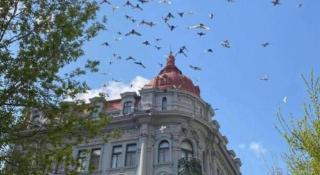 Magnotel Business Harbin Railway Station Qiulin Museum Metro Station - 2