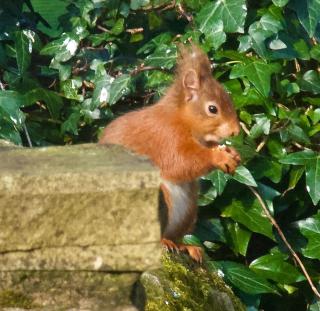 Elm Tree Cottage - 1