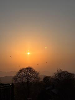 The Muggle House - 5