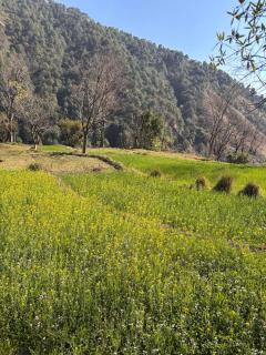 The Muggle House - 3