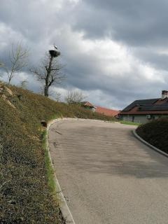 Apartmaji Karbic - 1