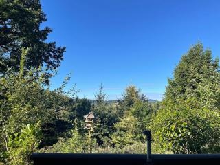 Kleine Auszeit- Haus am Buchschirm - 3