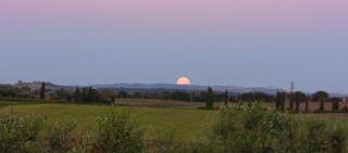 GIGANTI VERDI - Appartamento Pepe - 7