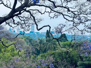 Calm Connected Skyline Views Melrose Sandton - 4