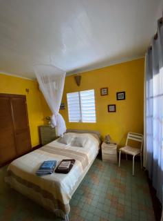 Maison Simon Lamentin jardin tropical - 2