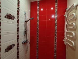 Затишна студія в приватному будинку з автономним живленням - 5