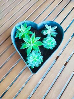 Ferienwohnung C06 - 4