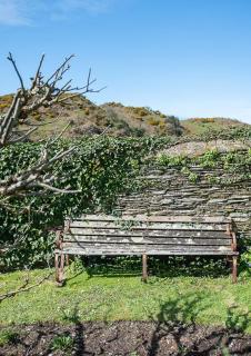 Old Vicarage Mortehoe Near Woolacombe 2 x sleeps 4 and 1 x sleeps 10 cottages - Mortehoe - 7
