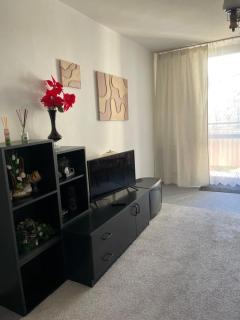 Apartament przy górce - 8