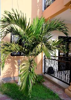 Suite Pokou - Petit prix et confort - 6