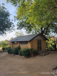 Wilderness camp kalinjar - 3