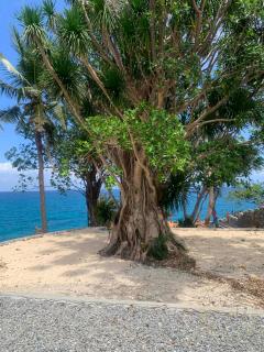 Peaceful Turtle Camp - 2