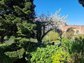 Au Ptit Bonheur du Lot, centre-ville, calme, vue, jardin - 4