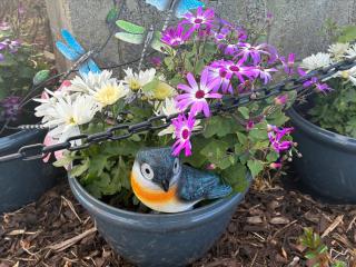 Heron's Rest Studio - 4