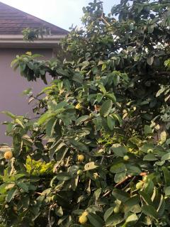 USA River Arusha Qasarani - 2