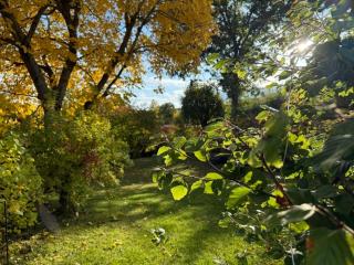 Chillige Ferienwohnung für 2! Loft A15 im Atelier - 1