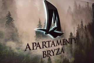 Apartament Bryza 38 nad jeziorem Necko - 8