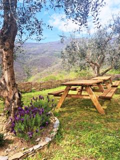 Borgo del Canto - Traditional Country Retreat - 30 Min from the Sea! - 2