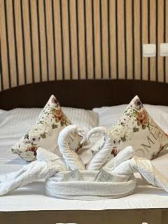 Apartamente elegante in regim hotelier - 3