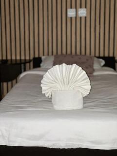 Apartamente elegante in regim hotelier - 5