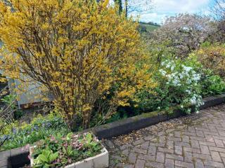 Laugharne Cottage Golwg Harddwch - pure water - 9