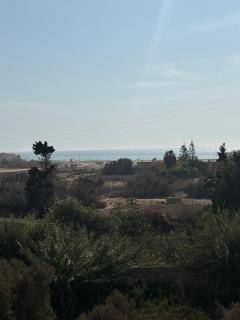 Garden view double room - 8