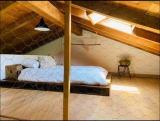 El bosque canela - 1