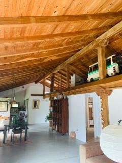 El bosque canela - 3