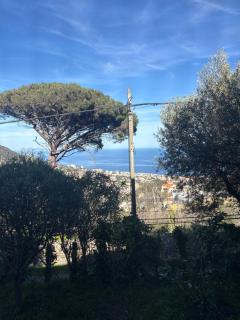 Appartement Bastia Cardo Village - 9