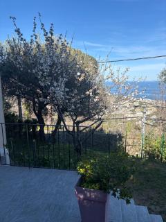 Appartement Bastia Cardo Village - 5