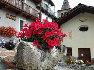 Lo Ni di Candolle - 8