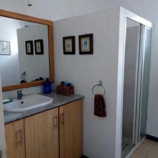 Tropical escape in Mauritius pool garden - 2