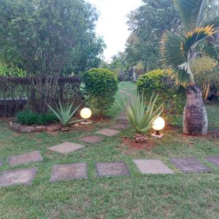 Tropical escape in Mauritius pool garden - 9