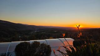 Coja Mountain Perch - 4