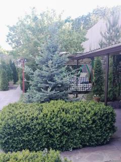 Частный дом Размик - 7