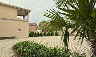 Nanchev Apartments - 1