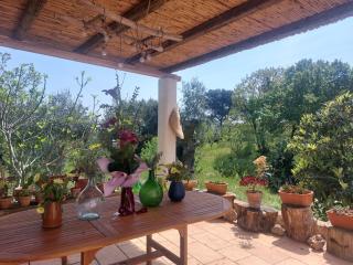 Physis b&b-a casa di Clio - 5