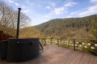 Gruber Forrest Cottage with real Wood Hottub - 2