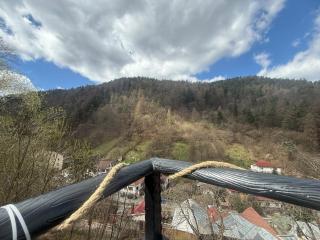 Gruber Forrest Cottage with real Wood Hottub - 3