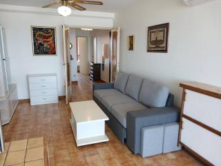 Grand 3 pièces climatisé avec parking à Canet-en-Roussillon - FR-1-833-2 - 7