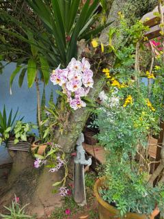Meu Lugar no Campeche - 5