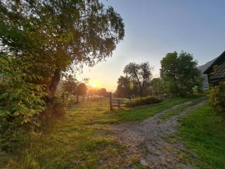 der Untermühlbacher - 1