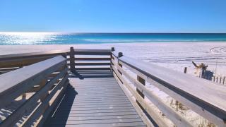 Seacrest Serenity - Steps to Beach - Ocean View Condo - 7