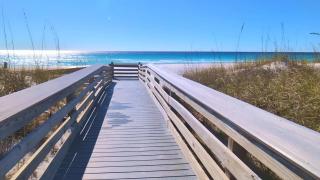 Seacrest Serenity - Steps to Beach - Ocean View Condo - 6
