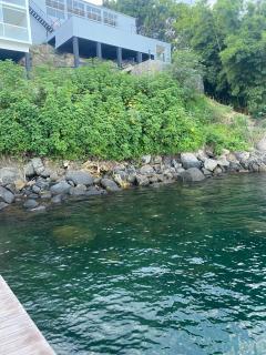 Vilella Vista Bela - 7